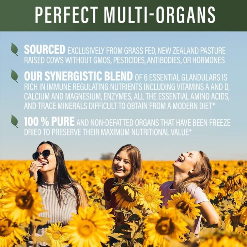 Perfect Multi-Organs - Image 4