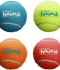 Outward Hound Squeaker Ballz Fetch Dog Toy
